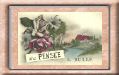 Bulle fant 02.JPG